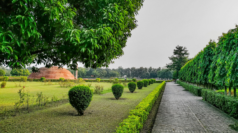 Landscape Maintenance